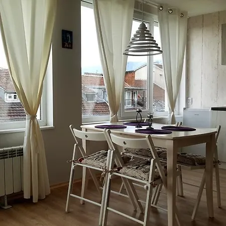 S.a.p.i. Apartment Sofia